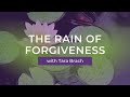Kabiny Its Raining Forgiveness