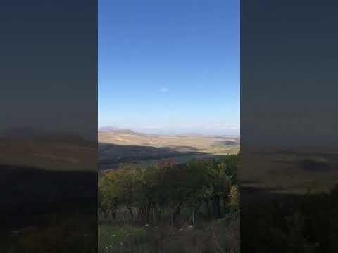 DITAVAN gyux😍🤩