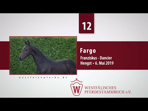 12 Fargo  Hengst v. Franziskus - Dancier