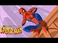 The Spectacular Spiderman Full Theme Song
