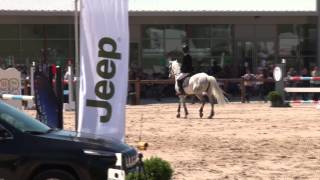 preview picture of video 'AS PONEY Elite GP (11) Alexandre PERIER & QUARNAUD DEBEAUSEJOUR'