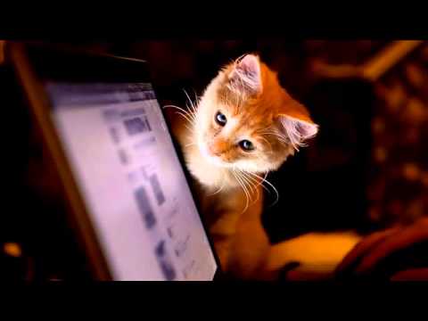 download lagu mp3 mp4 Klassisk Musik Stockholm, download mp3 Klassisk Musik Stockholm free downloadn, video klip Klassisk Musik Stockholm