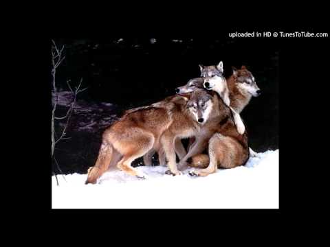 Βρώμικος Νότος - Ψυχή Μονάχα Αρκεί (Prod. Jum)