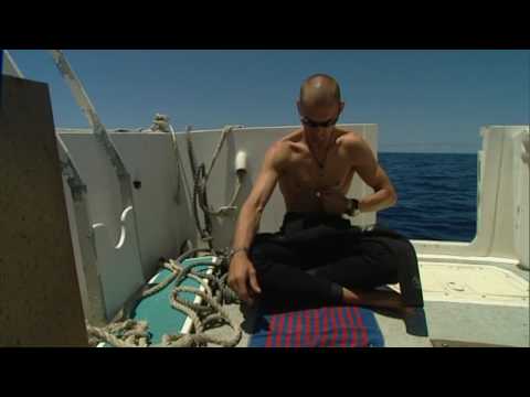 GEO Reportage: Apnoe-Taucher - Im Tiefenrausch