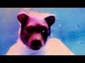 Moby - A Case For Shame (with Cold Specks) - Official video