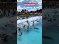 Biggest Wavepool At Mount Opera Waterpark Hyderabad Waterpark Mountopera Wonderla Hyderabad