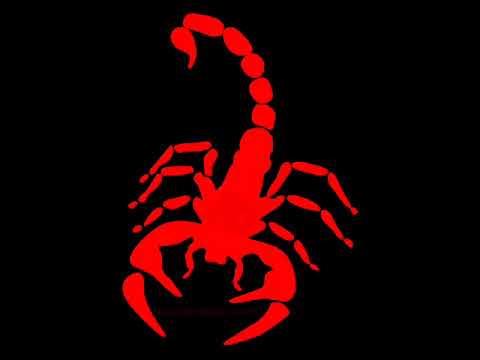 tranzits but ar tevi