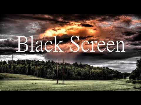 Regen mit Gewitter im Wald, 60 Minuten, Black Screen