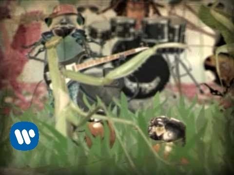 Elbicho - Los rokipankis (video clip)