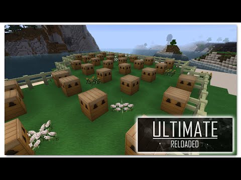 Bee Breeding Basics - Getting Started - FTB Ultimate Reloaded - Episode 04