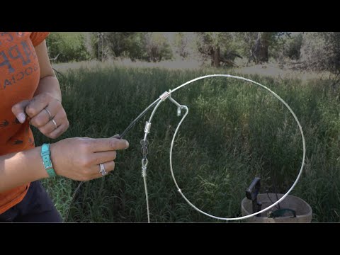How to Use Cable Restraints for Trapping