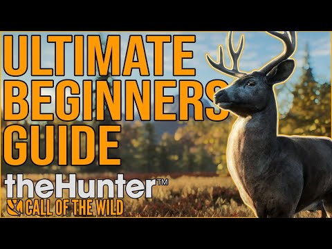 theHunter Call of the Wild || Ultimate Beginners Guide for 2022
