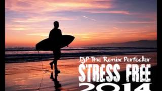 DjP - Stress Free 2014 (Roots & Culture Lovers Rock mix)
