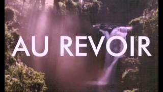 Au Revoir - OneRepublic | Lyrics