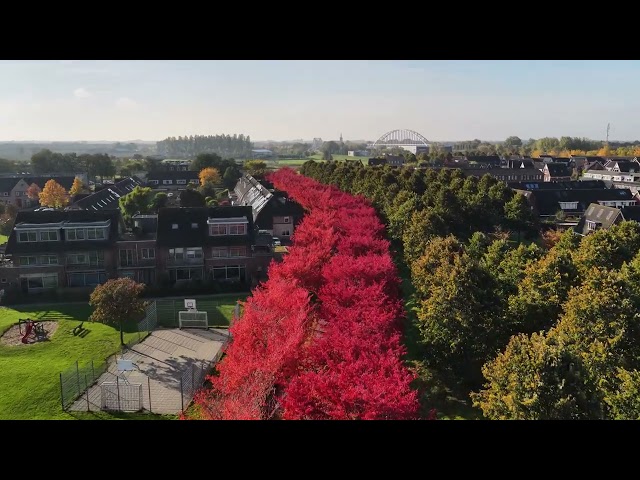 Judge.me YouTube video placeholder