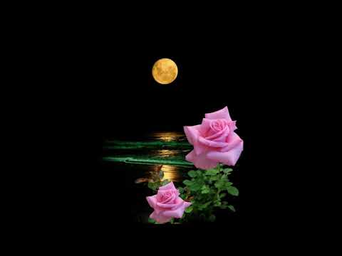 Peabo Bryson~ " My Last Goodbye "❤️ 2007