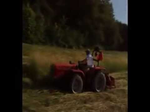 292.DEČKI ŽUTNICE - Košnja sijena