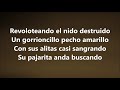 PEDRO INFANTE - GORRIONCILLO, PECHO AMARILLO (LETRA)