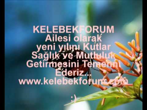 NerissA Doğum Günü