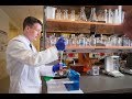 Dr Scott Commins On Alpha Gal Meat Allergy