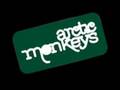 Arctic Monkeys - Riot Van 