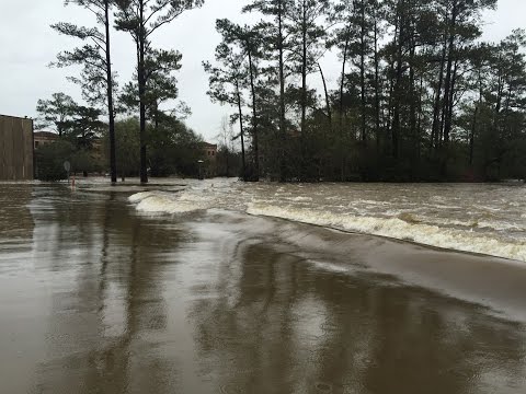 Flood Recovery at Saint Joseph Abbey and Seminary College