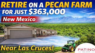 Retire on a Pecan Farm for just $363,000 - New Mexico