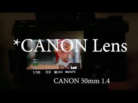 SONY A7 III Lens Test - Sigma MC-11 and EF-Lenses & Autofocus Crash