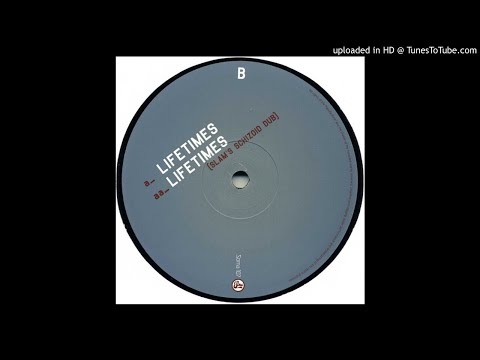 Slam Ft. Tyrone 'Visionary' Palmer ‎- Lifetimes