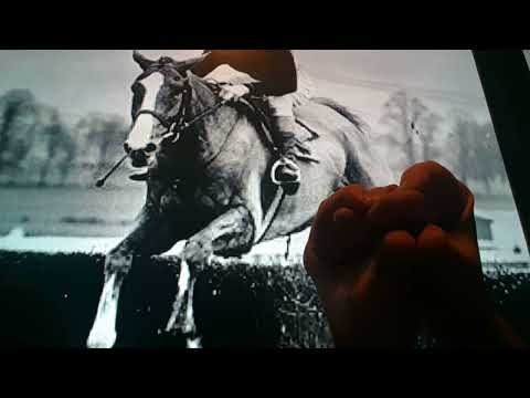 Horacio the handsnake - Flyingbolt the racehorse