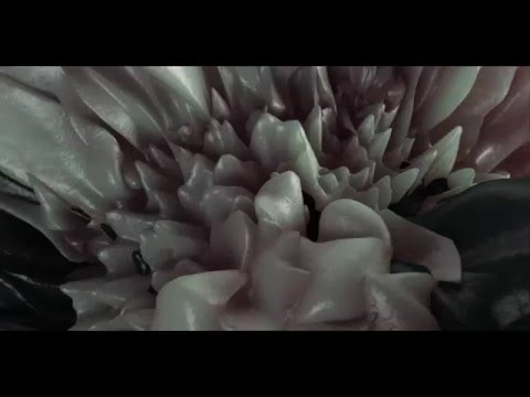 Alien Hand Syndrome - Summer Of 1816 (Official Music Video)