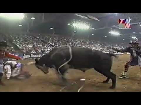 Smoke On bucks Gary Richard - 01 PBR Houston