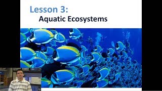 Lesson 5.4.3 - Aquatic Ecosystems