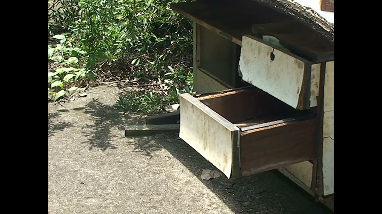 Cupping - TRAILER