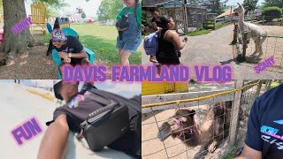 We Got Chased by Goats/llamas?! Davis Farmland Gone Wild! 🐐🏃‍♂️