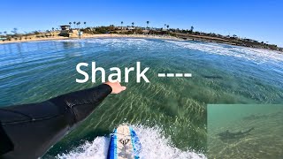 Surfing with Sharks and Legends at The Reef: Cardiff, CA