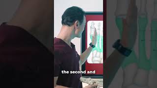 The Sneaky Location of Neuroma Pain 🚨 #footpain #footpainrelief #shortsyoutube