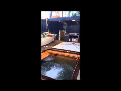 Senator Murkowski's ALS Ice Water Challenge