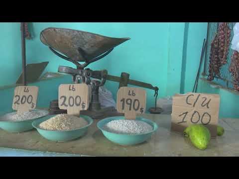 Comisión parlamentaria recorre bases productivas agropecuarias en el municipio de Sibanicú