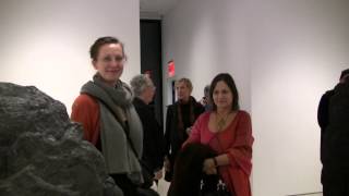 Not Vital's Exhibition at the Sperone Westwater Gallery