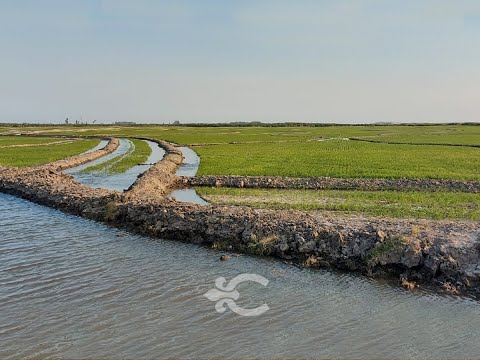 Video de YouTube - Campo en venta en Treinta y Tres ref. 9285