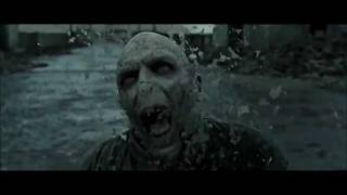 Voldemort Is Going Down - Movie Version
