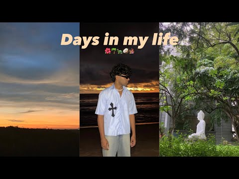 Slice of life 🐢 travel,art,friends and beaches: