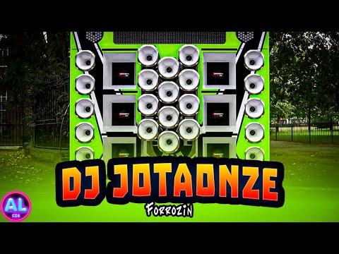 CD FORRÓZIN JULHO 2024 - SELEÇÃO TIKTOK 2K24 - AS MELHORES PRA PAREDÃO - DJ JOTAONZE