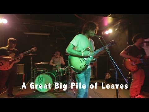 A Great Big Pile of Leaves Interview (Live @ Mac's Bar)
