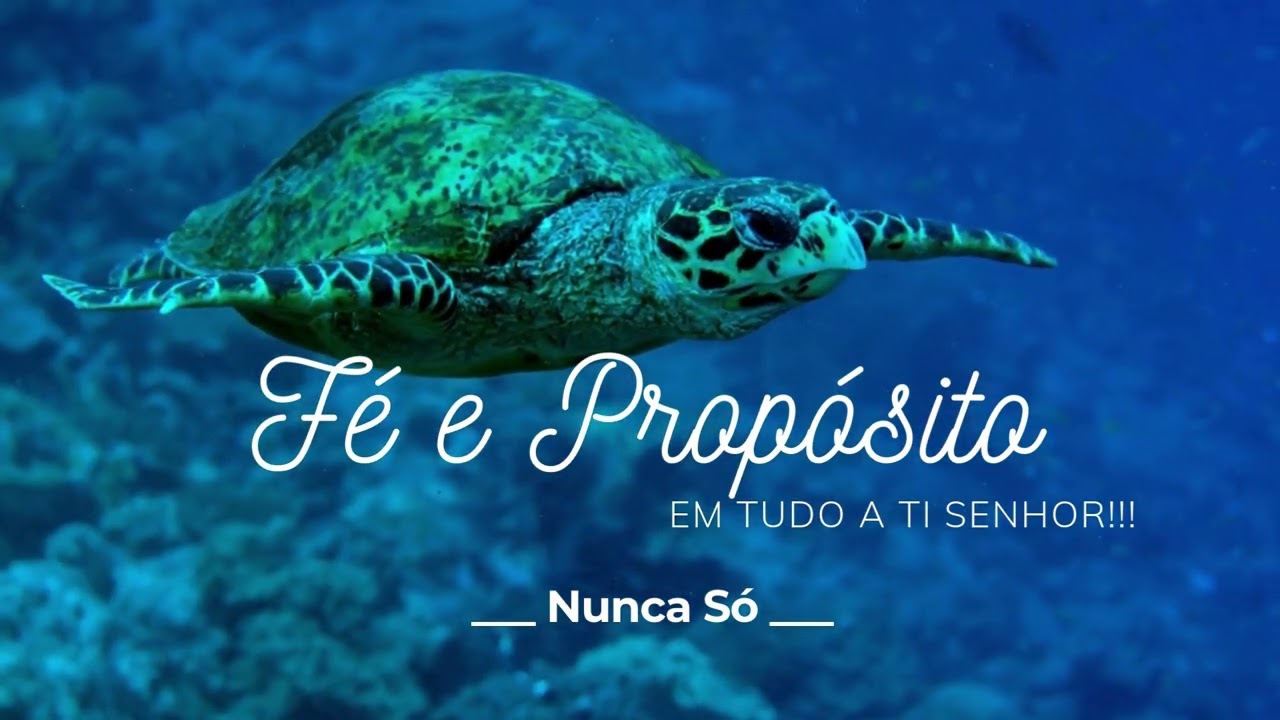 Fé e Propósito Em Tudo a Ti Senhor
