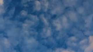 Boards of canada -White cyclosa-