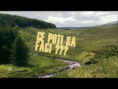 Adi Mocan - DEPRESIA - Ce sa faci cand esti la pamant