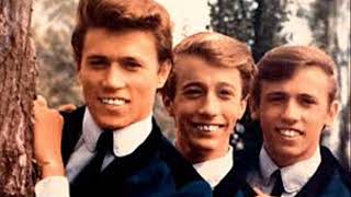 Glass house - The Bee Gees (M.A.Seiz cover version)