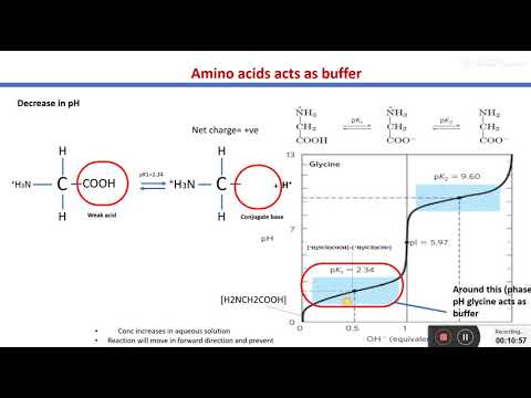 Titration curve of Glycine
